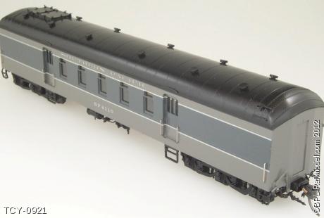 TCY-0921