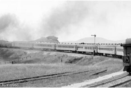 TCY-0961