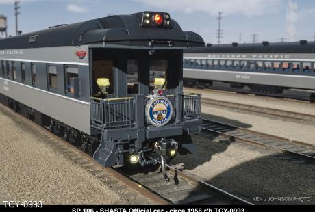 TCY-0993