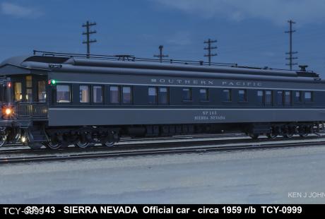 TCY-0999