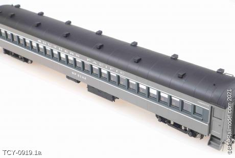TCY-0919.1a