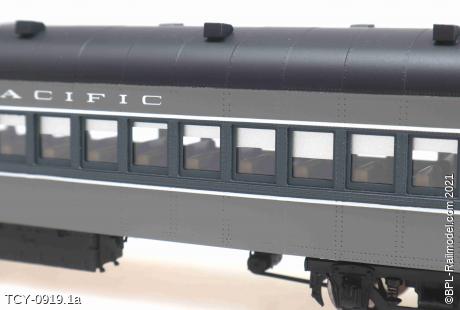 TCY-0919.1a